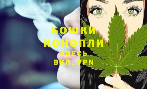дживик Богородицк