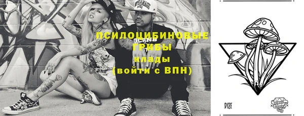 дурь Бронницы