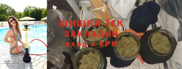 дурь Бронницы