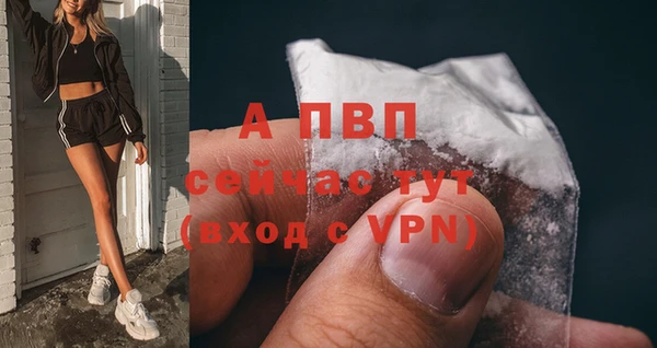 марки lsd Бородино