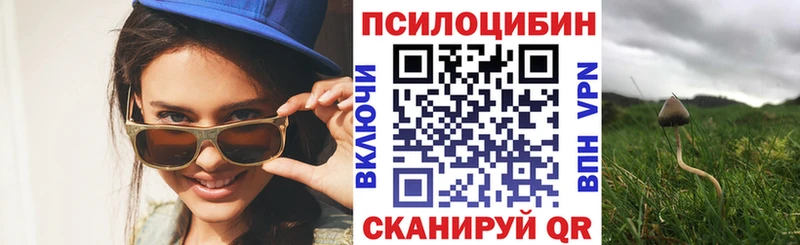 цена   Тихорецк  Галлюциногенные грибы Psilocybe 