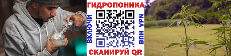 Каннабис VHQ  купить   Тихорецк 